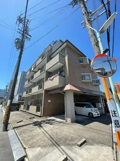 シャルムスワンの画像