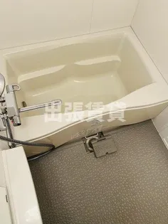 レジディア高岳【13階】の風呂