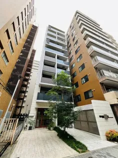 プラチナムの画像