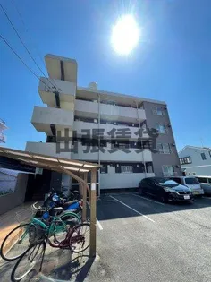 シーズンコート歌里の画像