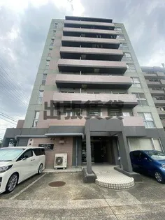 ドリームハイツエリカの画像