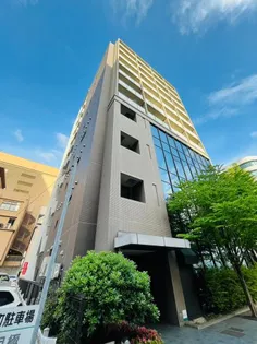 ディアコート白川【8階】の外観