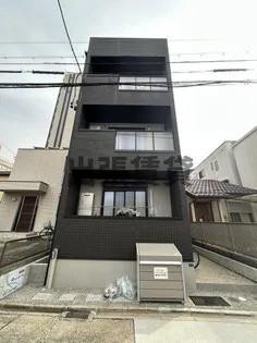 ANECIS花の木の画像