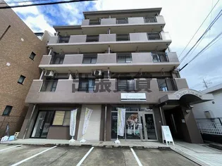 エスペランサ厳樹の画像