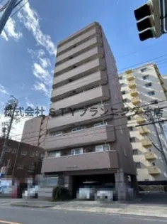 ノーブルコートの画像