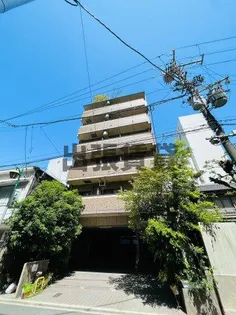 ハイツ丸の内【3階】の外観