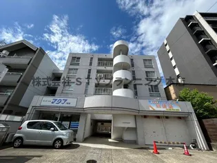 ハイツサイネリアの画像