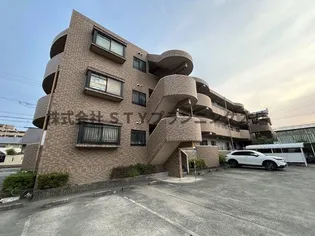 ルピナス橘の画像