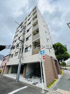 PURA VIDA幅下の画像