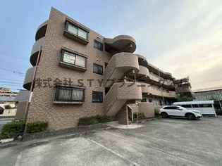 ルピナス橘の画像