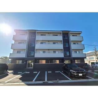 フィフティワンVOL Ⅷの画像