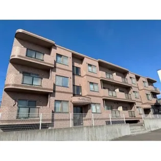 プレセランス桔梗の画像