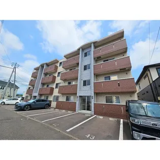 FIFTY ONE VOL IIの画像