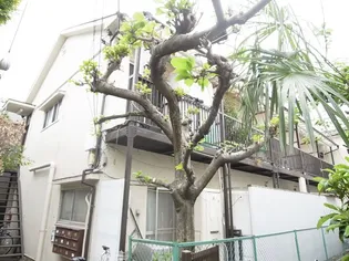 銀杏ハイツ【26号室】の外観