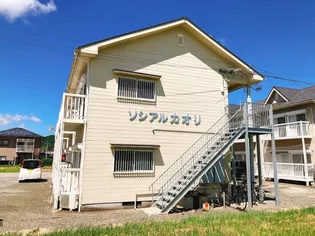 ソシアルユカリの画像