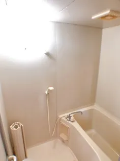 ドリーム愛【202号室】の風呂