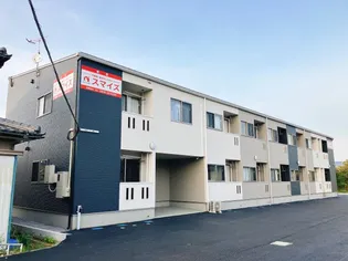 プルメリアの画像