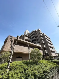 エスペランサ41の画像