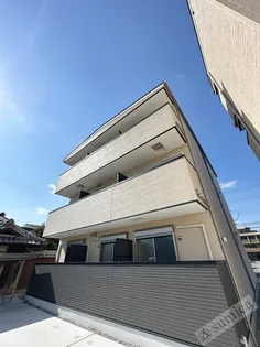 F ASECIA RUMINAの画像