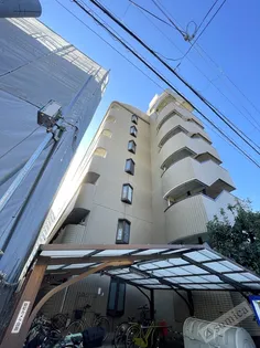 キッポー平野加美の画像