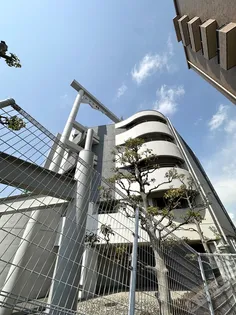 ムアナ88の画像