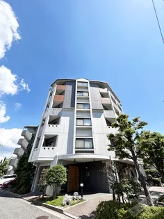 エバーグリーンの画像