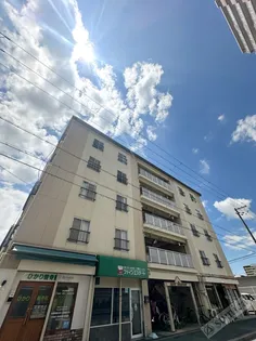 ブルーシャトーの画像