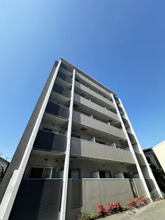 ドルフシィアの画像