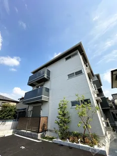 サンクス ウィズダムの画像