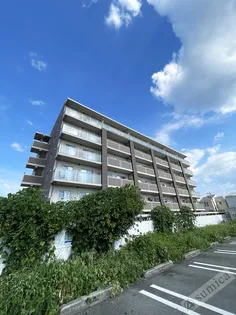 コスモ【5階】の外観