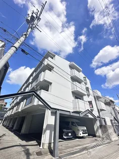 セゾンアルビレオ【4階】の外観