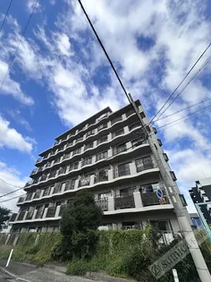 グローリー飛鳥の画像