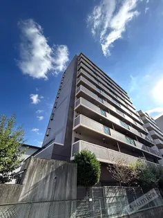 シティーヴェローナの画像