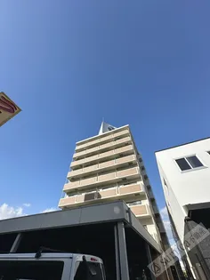 ベローナの画像