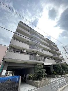 サンマール平野の画像
