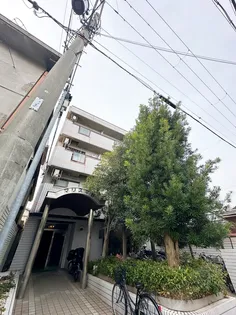 マリス平野の画像