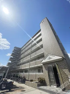 アフロディ布市の画像