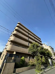 コンチネンタル平野の画像