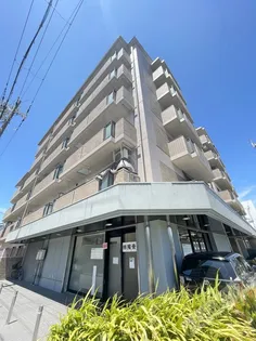 ドミール31の画像