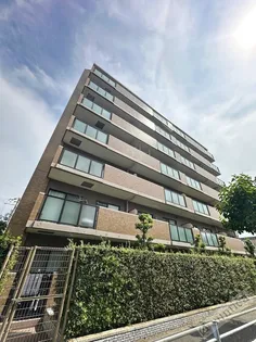 ラッフィナートの画像