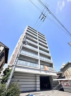 casa felice【7階】の外観