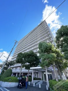 シェモア平野の画像