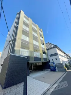 ネモフィラの画像