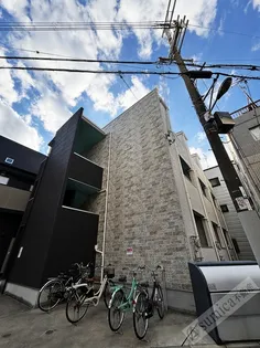 レジュール ウールの画像