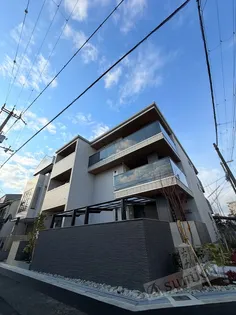 レクタスの画像