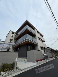 ナティ サウスの画像