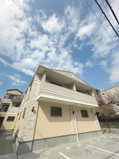 グランぶどうの木の画像