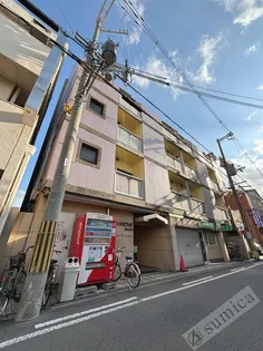 コーニッシュ長瀬の画像