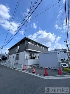 スミレの画像