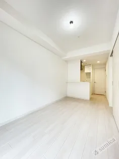 ソルテラスOSAKA緑橋クレアスト【12階】の内装